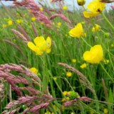 2305F 006 Marburg-Trier